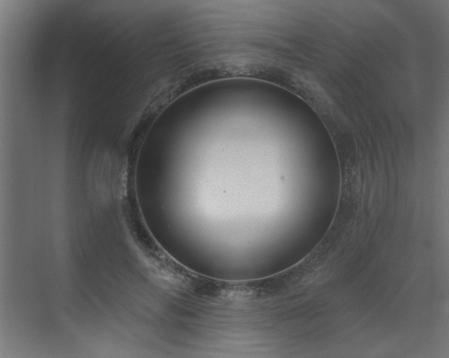 X0000071800694200606301201