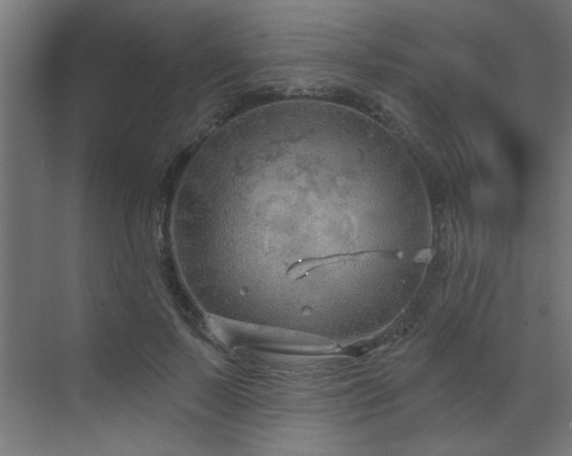 X0000071800695200606301201