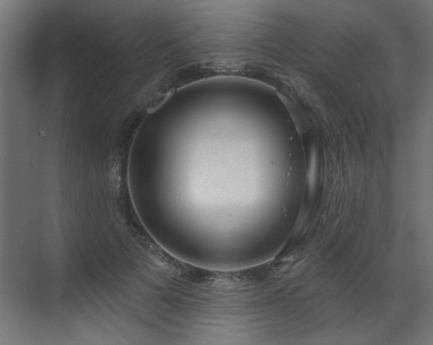 X0000071800697200606301201