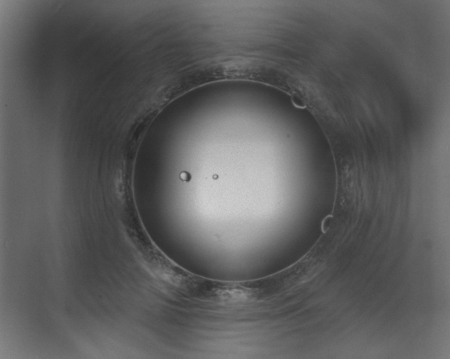 X0000071800698200606301201