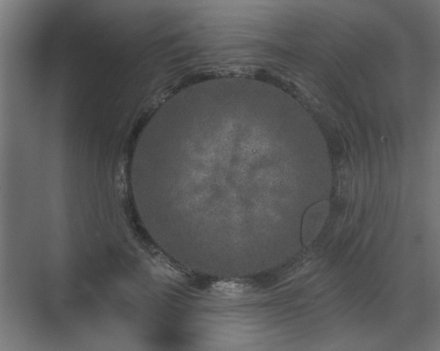 X0000071800699200606301201