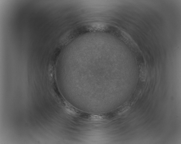 X0000071800701200606301201