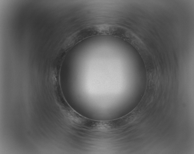 X0000071800702200606301201