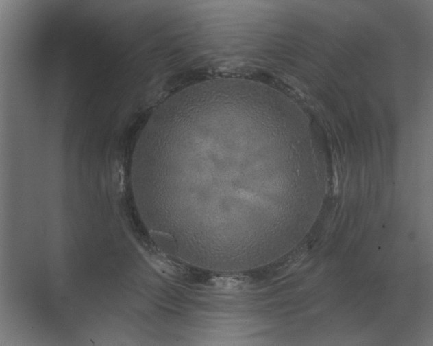 X0000071800703200606301201