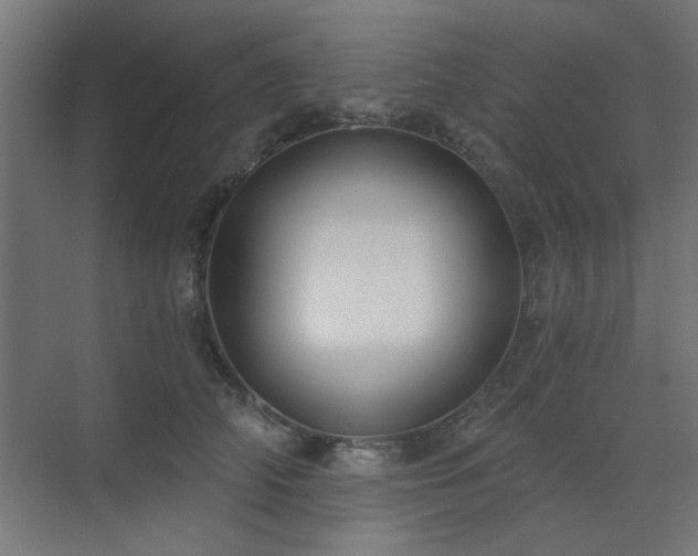 X0000071800706200606301201