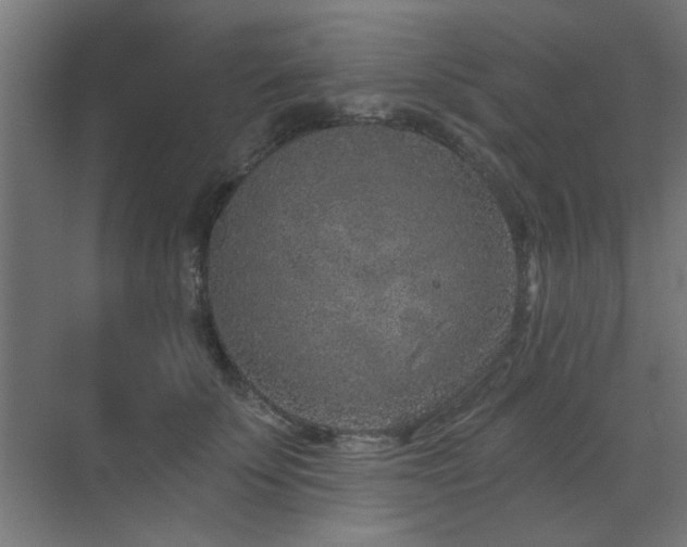 X0000071800707200606301201