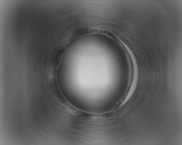 X0000071800708200606301201