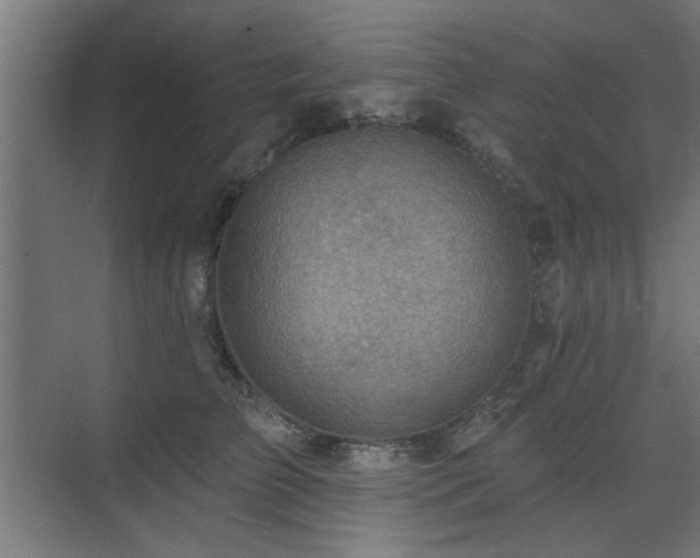 X0000071800709200606301201