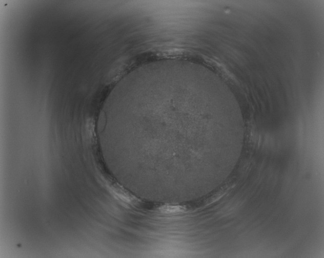 X0000071800711200606301201