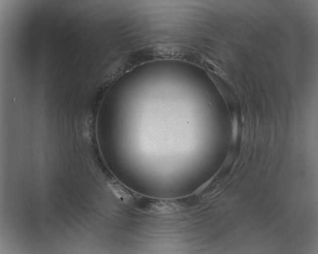 X0000071800712200606301201