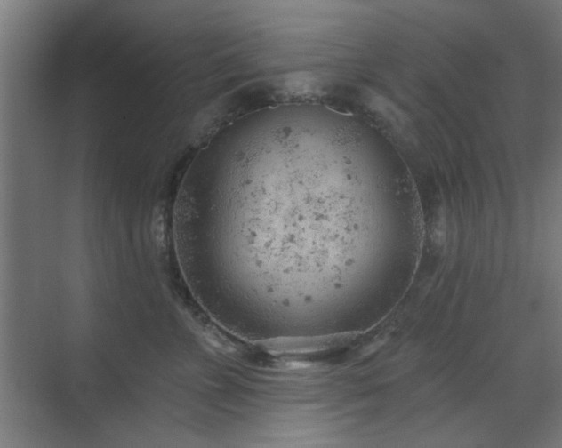 X0000071800715200606301201