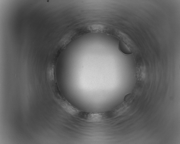 X0000071800717200606301201