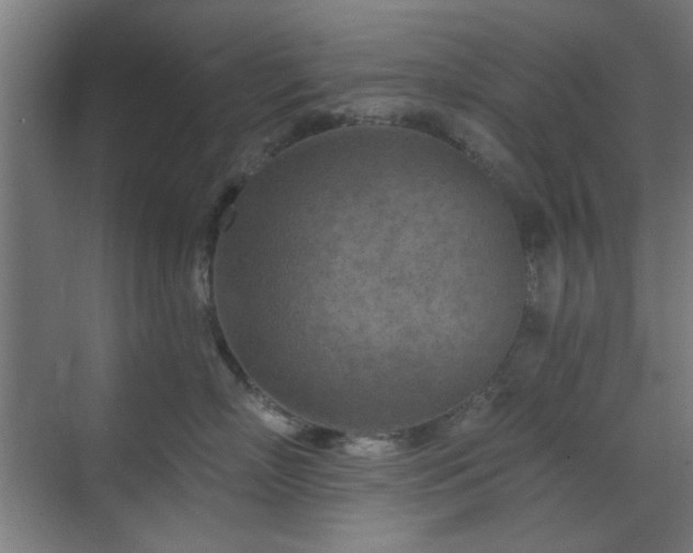 X0000071800718200606301201