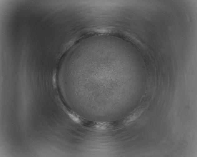 X0000071800720200606301201