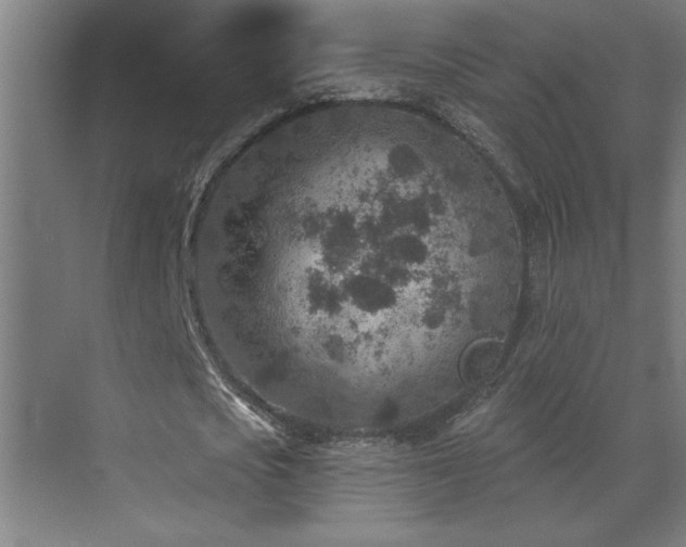 X0000071800721200606301200