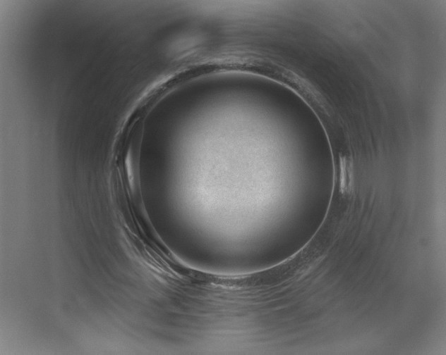 X0000071800723200606301200