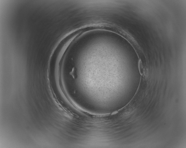 X0000071800724200606301200