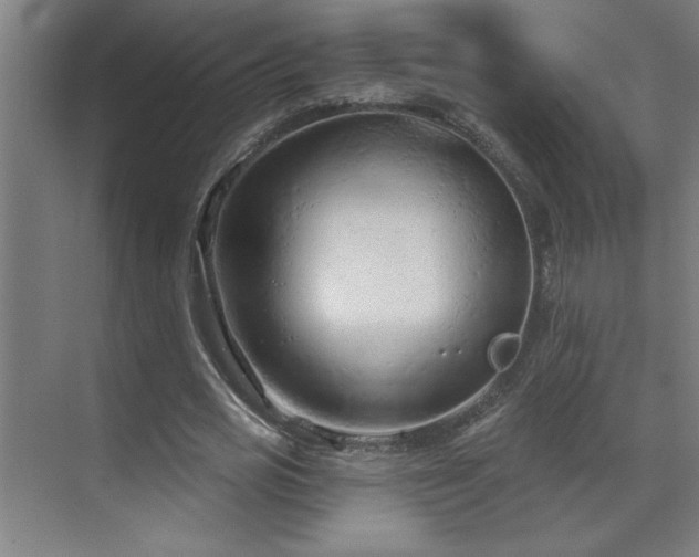 X0000071800725200606301200