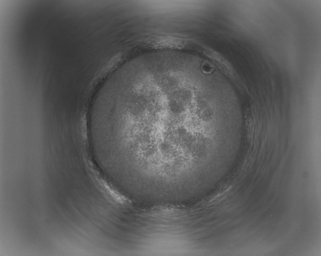 X0000071800729200606301200