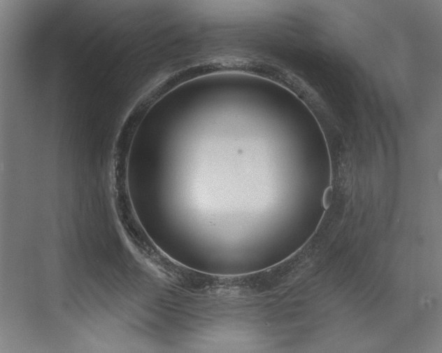 X0000071800730200606301200