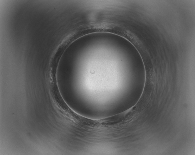 X0000071800731200606301200