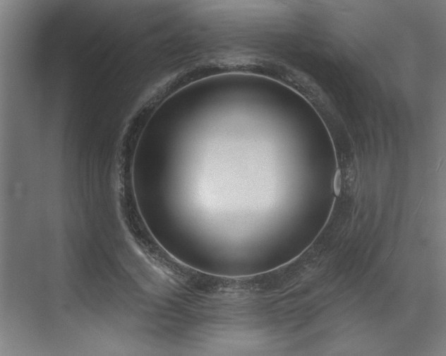 X0000071800732200606301200