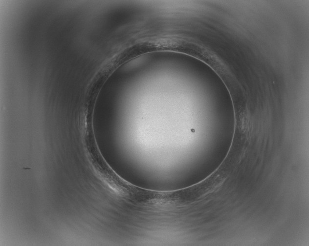 X0000071800733200606301200