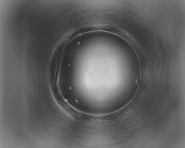 X0000071800734200606301200