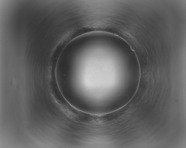 X0000071800735200606301200