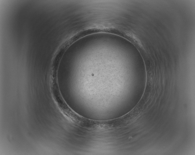 X0000071800736200606301200