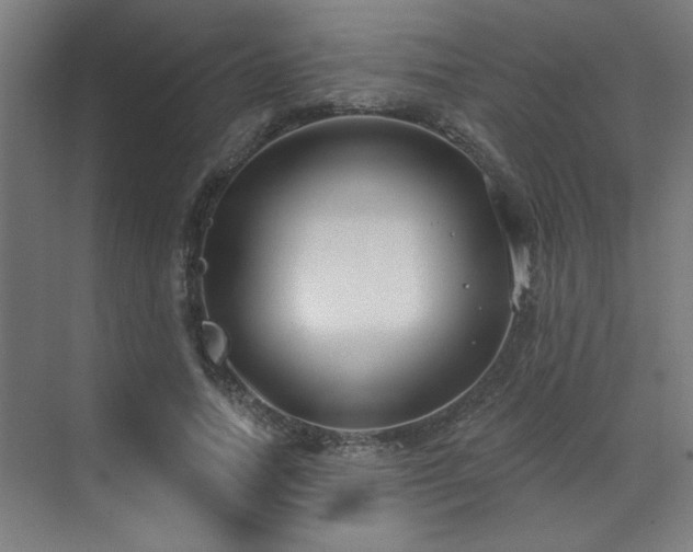 X0000071800738200606301200