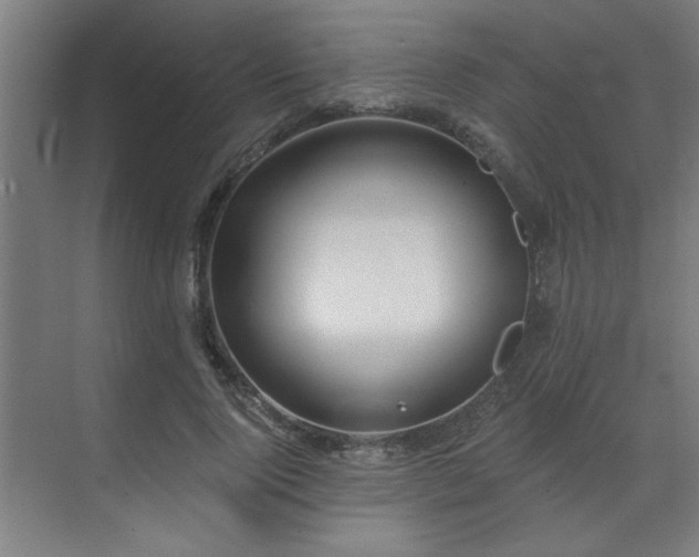 X0000071800740200606301200