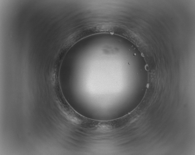 X0000071800741200606301200