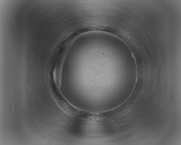 X0000071800742200606301200