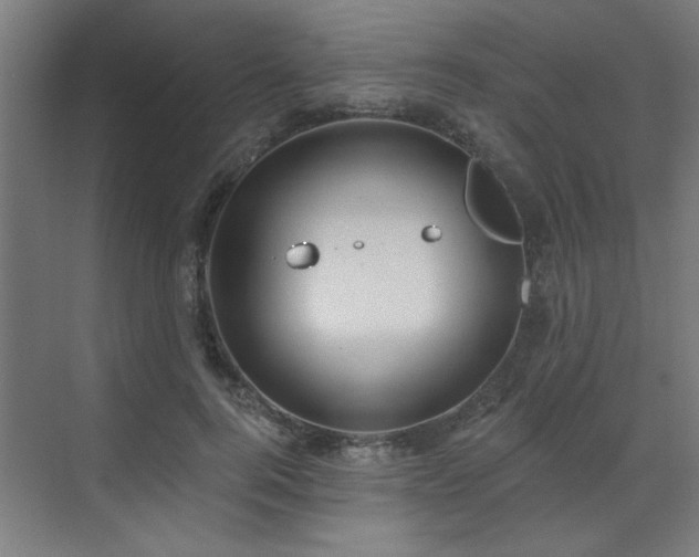 X0000071800744200606301200