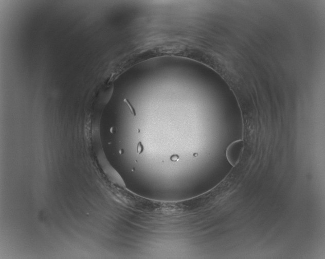 X0000071800745200606301200