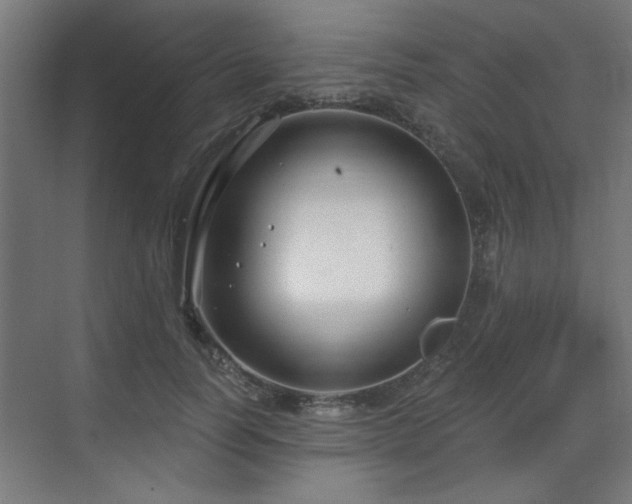 X0000071800746200606301200