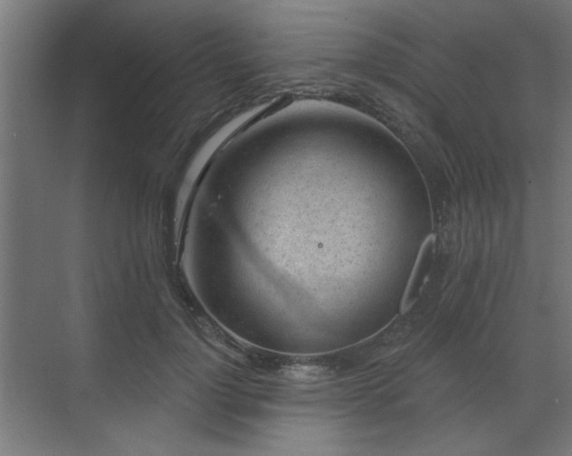 X0000071800748200606301200