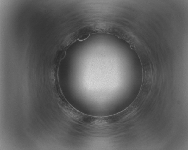 X0000071800749200606301201