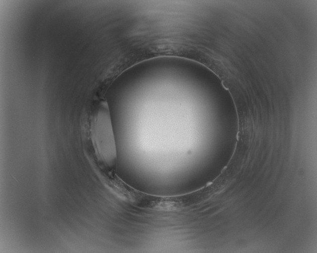 X0000071800751200606301201