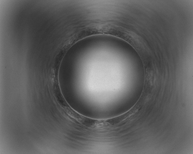 X0000071800752200606301201