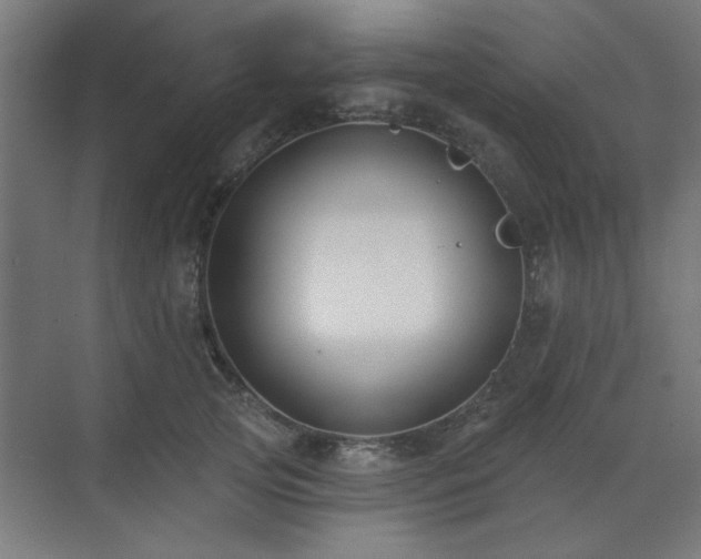 X0000071800753200606301201