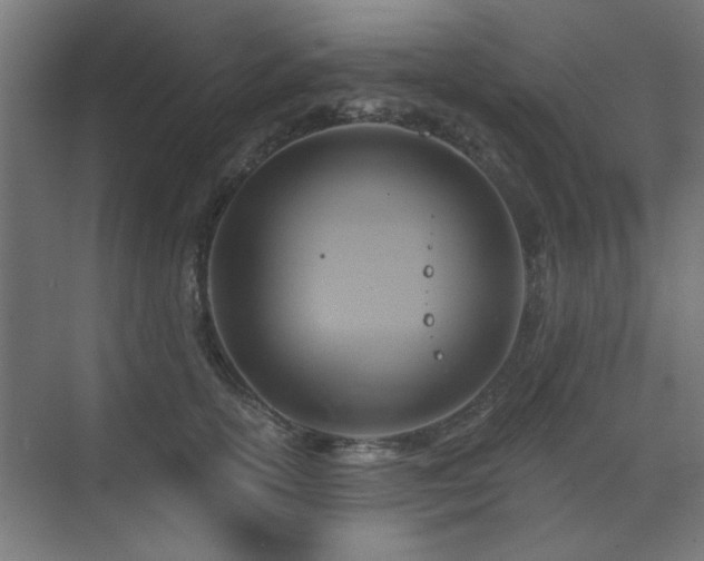 X0000071800754200606301201