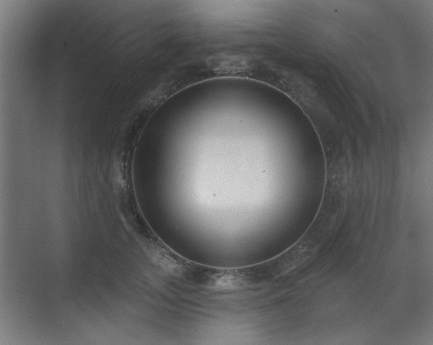 X0000071800755200606301201