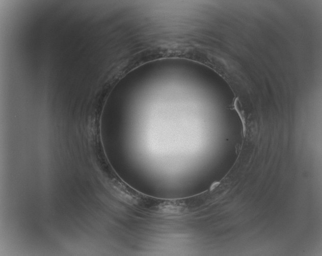 X0000071800756200606301201