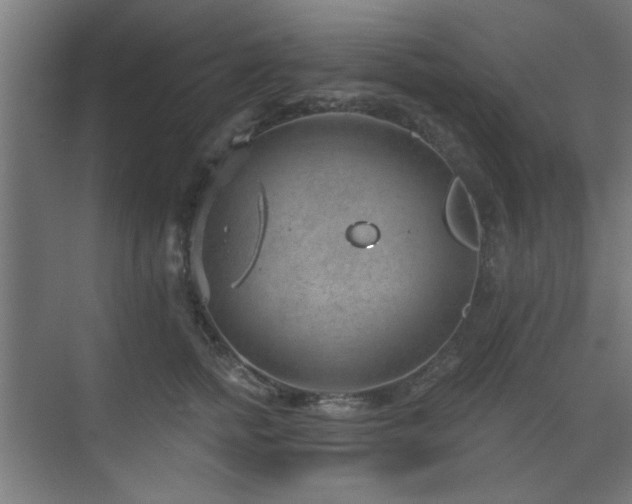 X0000071800758200606301201