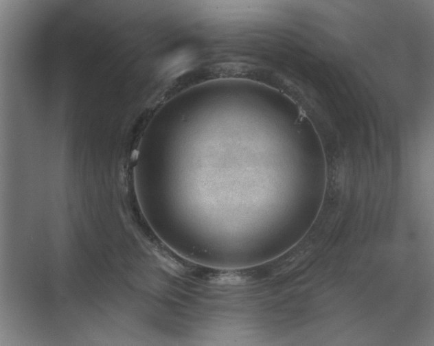 X0000071800759200606301201