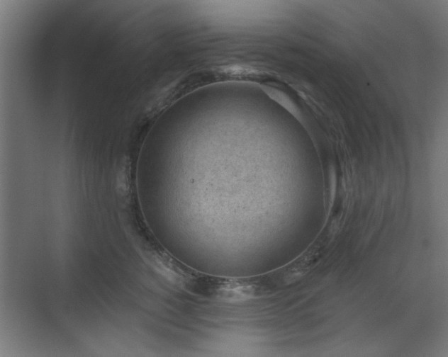 X0000071800760200606301201