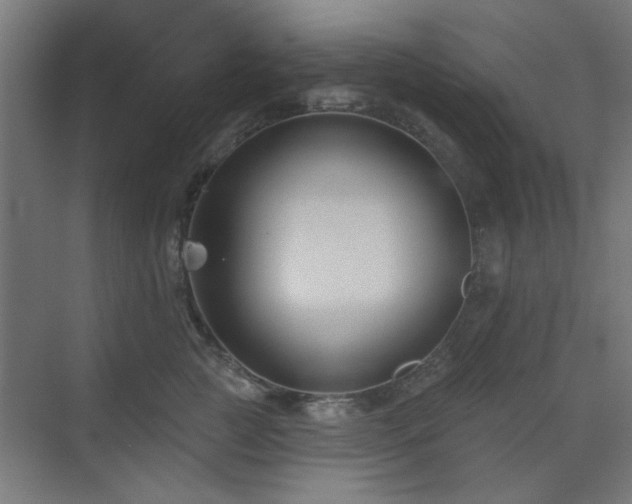 X0000071800761200606301201