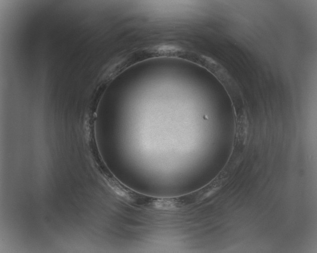 X0000071800762200606301201